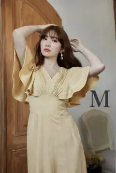 ワンピース Her lip to Capri Mermaid Dress herlipto Capri Mermaid dress M