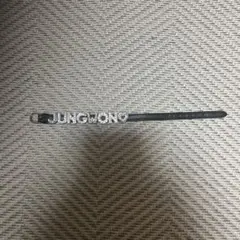 Item thumbnail for item 8af8f981-f83b-4d55-b73f-441d43f3ddb2