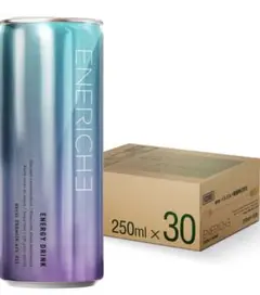 r67 ENERICHE(エネリッシュ) エナジードリンク 250ml×30本