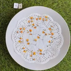 押し花　メラスフェルラ⑪