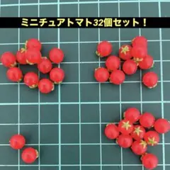 ミニチュアトマト 32個セット！