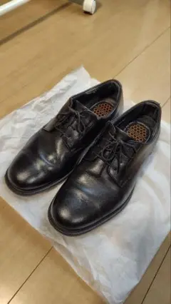 Item thumbnail for item 882aa2c0-fbb9-424c-b882-e8ee61fcfe7f