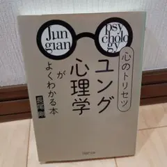 ユング心理学がよくわかる本