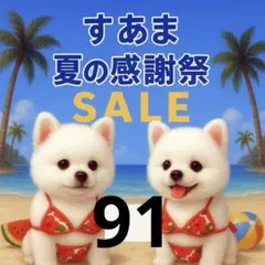✨夏の感謝祭セール✨パネル【Ｎｏ．91】