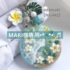 《蓄光》プルメリアと波打ち際 星の砂【No.442】シャカシャカ キーホルダー