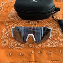 Item thumbnail for item 3d513e56-78e5-4f8f-b726-c92f7a24f2a1