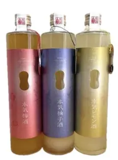 2025年最新】本気梅酒の人気アイテム - メルカリ