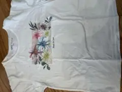 Item thumbnail for item 87cd9a2c-44fb-4407-8e3c-1d67e4d52c2c