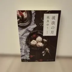 流浪の月 文庫本