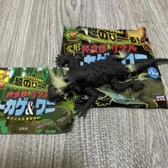 Item thumbnail for item c298a4e8-8d94-40b5-9ffb-8d80dde86e72