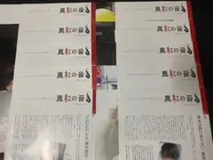 Myojo 真紅の音 山田涼介 vol.11～20 セット