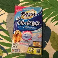 Item thumbnail for item d336591b-bd19-4a5e-8017-cbb116baf6fc