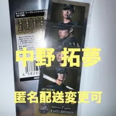 【中野 拓夢】 B-LUCK フォトグレイ