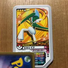 ポケモンガオーレエルレイド