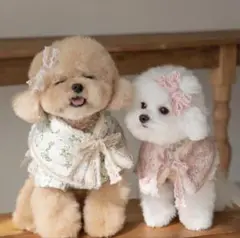 Item thumbnail for item f8ba0f1b-cbc4-49c0-b665-221b54aaeacd