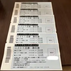北海道 スノークルーズオーンズ リフト1日券 割引券