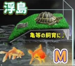 Item thumbnail for item 4688d0a9-d0d3-4011-9bb1-f8c067d08a56