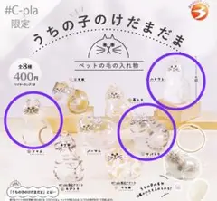 正規品うちの子のけだまだま サバトラ シャム ハチワレ キジトラ C-pla限定