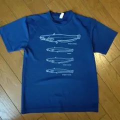 琵琶湖博物館　ナマズTシャツ　Sサイズ　ネイビー