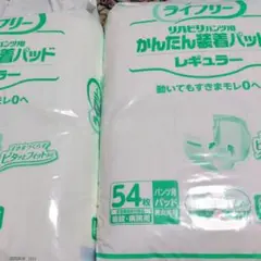 Item thumbnail for item 64c4f5b1-de4f-4a26-9483-a353877354df