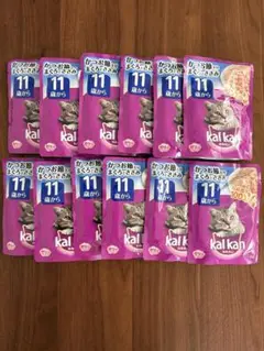 Item thumbnail for item 95454fe8-0d3c-4bf8-8f6a-9818e7027bf1