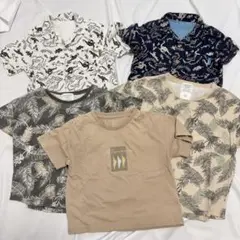 BREEZ恐竜柄CIAOPANICTYPYTシャツ 5枚セット 110〜130