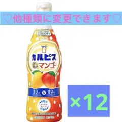 カルピス こだわりのマンゴー 希釈用原液 12本