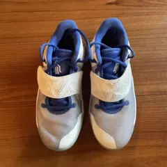 Item thumbnail for item c9deb003-901d-4900-8915-12926f143d42