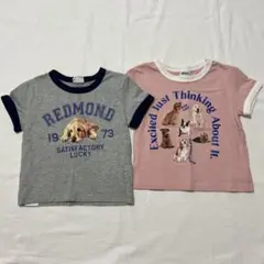 【美品】Breeze わんちゃんTシャツ 2枚セット 90サイズ
