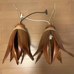 【2個セット】ココナッツリーフライト