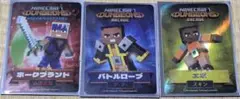 マイクラダンジョンズ　3枚セット