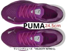Item thumbnail for item 09fe564a-09bb-4f3b-acb1-13285a755fc6