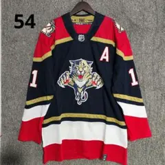 Reebok - 未着用 NHL カナダ製 フロリダパンサーズ オフィシャル ホッケーシャツ 🦌 CCM NHL 