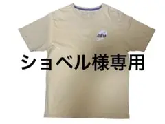Patagonia Tシャツ　サイズM