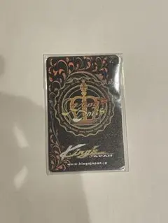 KING JAPAN ダーツ PHOENIX CLUB CARD D-1X