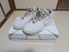 Item thumbnail for item ebe739a2-4107-42a2-8364-b356ef94a53b