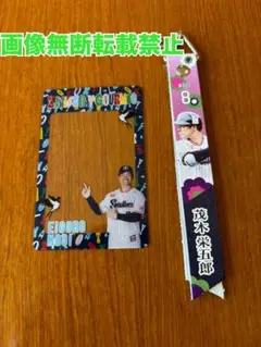 ヤクルトスワローズ レディースディ2025 茂木栄五郎ボンフィン&カード