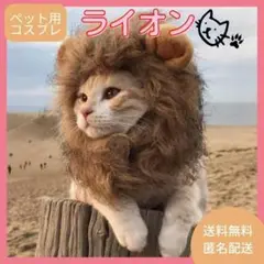 猫 コスプレ Sサイズ ライオン 仮装 被り物 かわいい 記念写真 SNS