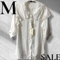 Item thumbnail for item 41c81486-730a-4e1e-aae3-ef135844cd80