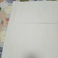 ホワイト刺繍生地