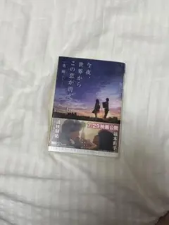今夜、世界からこの恋が消えても