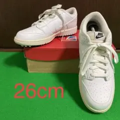 ‼️廃盤美品‼️訳あり‼️NIKE ダンク ゴルフシューズ ホワイト 26cm