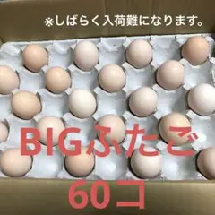 BIGふたご卵60コ⑦