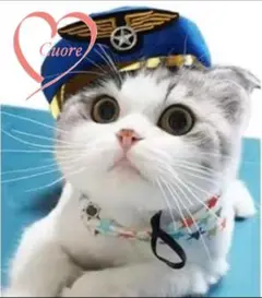 Item thumbnail for item ce85d775-f520-40d6-9c45-cc623f940ce2