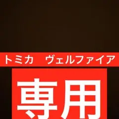 専用