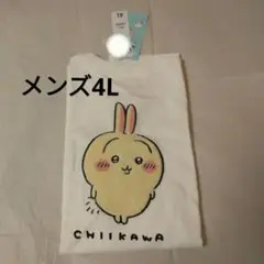 (F)ちいかわうさぎ 4L さがら刺繍 白Tシャツ 新品 匿名配送