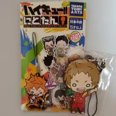 夜久衛輔 マフラータオル ぬいぐるみ キーホルダー まとめ売り 夜久衛輔 マフラータオル ぬいぐるみ キーホルダー まとめ売り