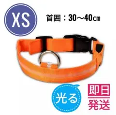 光る 首輪 犬 小型犬 LED ライト オレンジ 橙 USB 充電式 夜間 散歩