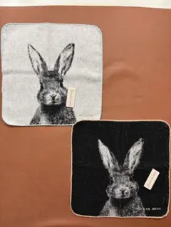 Item thumbnail for item 3ab995fb-dff9-4c2e-bbad-0ac4397edcce