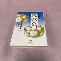 <マンガ>密教入門 : 密教の神秘を解き明かす